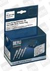 ZESTAW /BERU/ BorgWarner (BERU) SR 040