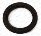ZIMERING W./KORB/P RENAULT 2,0 16V 95-01 PAYEN PAY NA5448