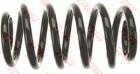SPRĘŻ.ZAW. TRW JCS1089