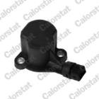 WŁĄCZNIK ŚW.COF.                        /VERNET/ CALORSTAT by Vernet RS5558