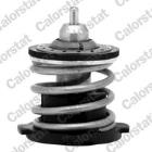 TERMOSTAT CALORSTAT by Vernet TH7274.87