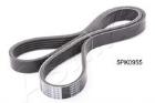 PASEK WIELOKLINOWY ASHIKA 112-5PK948