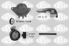 ZESTAW ROZRZĄDU CITROEN FIAT PEUGE      /SASIC/ SASIC SA3900003
