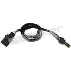 Sonda lambda WALKER PRODUCTS 250-241091