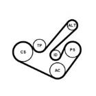 Zestaw paska klinowego wielorowkowego CONTINENTAL CTAM 6PK1555K9