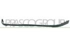 Spojler PRASCO VG0171801