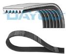 PASEK WIELOKLINOWY 68344 DAYCO DAY6PK736