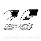 Pasek klinowy wielorowkowy SKF VKMV 8PK942 R